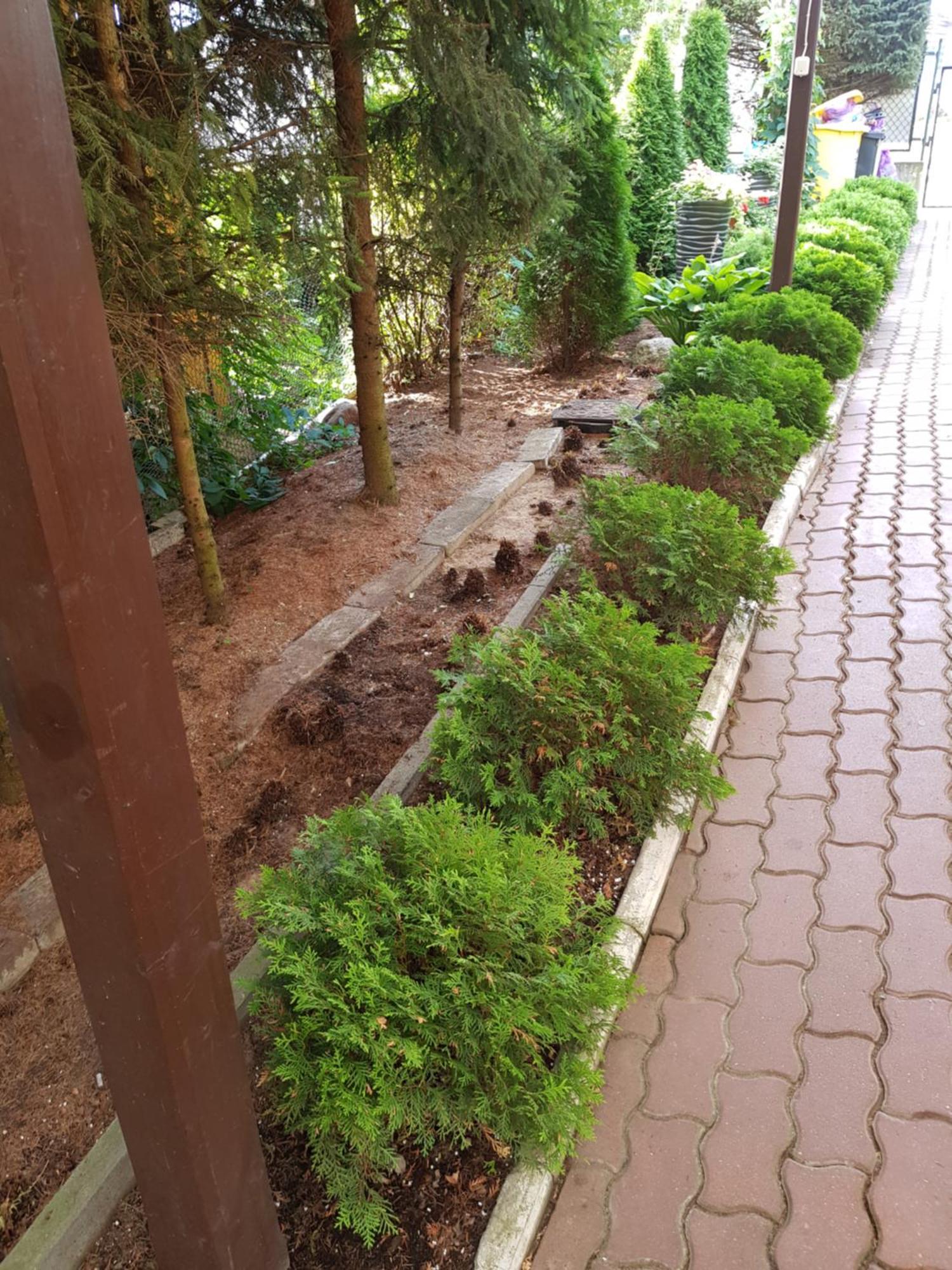 Apartamenty, Pokoje, Noclegi Pracownicze " Skarpa" วิลคาซี ภายนอก รูปภาพ